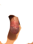 9A226C05-E596-4E09-BC20-0F1CEC85C6AD