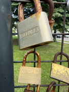 IMG-3753