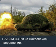 https://i.postimg.cc/Wdx31h2p/photo-2026-06-02-03-29-55.jpg