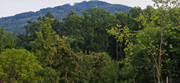 IMG-20230725-202312