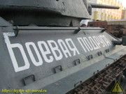 IMG-5588