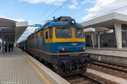IMG-5542