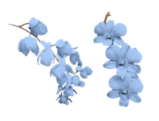PF-14