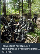 https://i.postimg.cc/Wh6QxG0t/photo-2026-05-31-03-50-29.jpg