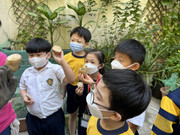 photo-littlefarmer2223-2A-004