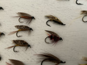 33D219D7-B5DE-488C-BAC5-A6D84227EA15