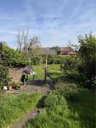 IMG-5149