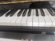 44c5394f-6846-11ef-a7af-d9db0bd88e1d