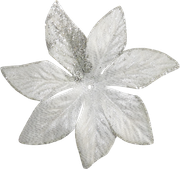 Pointsettia1