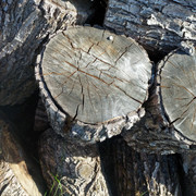 [Image: IMG-20250529-095621.jpg]