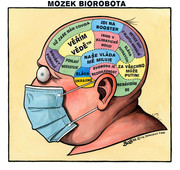 mozek-biorobota