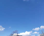 IMG_20220305_113940_1