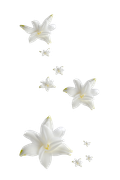 Winter-White-Elements-216
