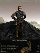 pancerze i ubrania (27)