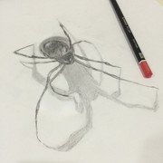 2014-06-16 07.08.08 744133842762068594_195577939