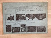 IMG-9942