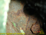 DSCN0039