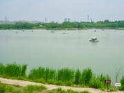 photo 13 2026 01 16 21 56 05