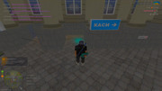 IMG-6586