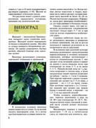 Plodovy-sad-v-komnate-2002-9