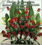 https://i.postimg.cc/Whh7683v/fa9dfbc132b7ec61da9d1f0698cc5ded.jpg