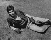 alain-delon-c25