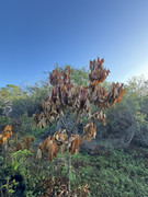 IMG-1760