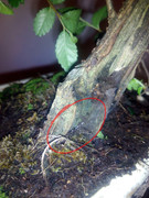 IMG_20200211_220243_310