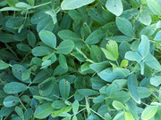 5a4e8558-3c90-43df-94ef-55453e2117e4