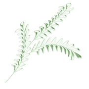 WINTER-LOVE-DBJ-ELEM-5