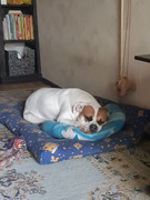 photo_2022-07-11_01-46-08