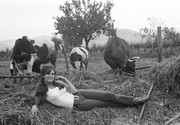 raquel-welch-f96