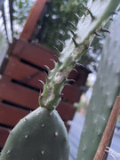 0C1E937F-259C-4E97-A9EC-82D0F64C98C4