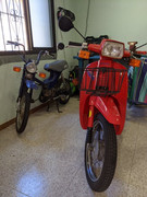 HONDA - Honda Scoopy SH 75 IMG-20200825-133246