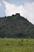 DSC-0422