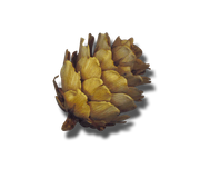 GJ-PUCluster-Joyful-Snowman-7