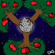 návrh_kruh_vyvazenosti1