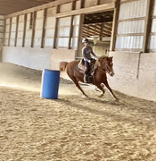 74DCC5CC-1B4B-446D-87B4-474FA1BB62F0