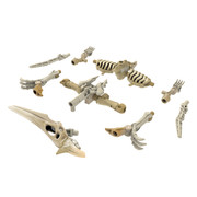 171510018-300433351651710-1671395654159613032-n