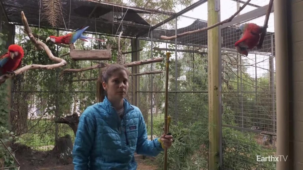 [Image: dedk72gs6qg8.jpg]