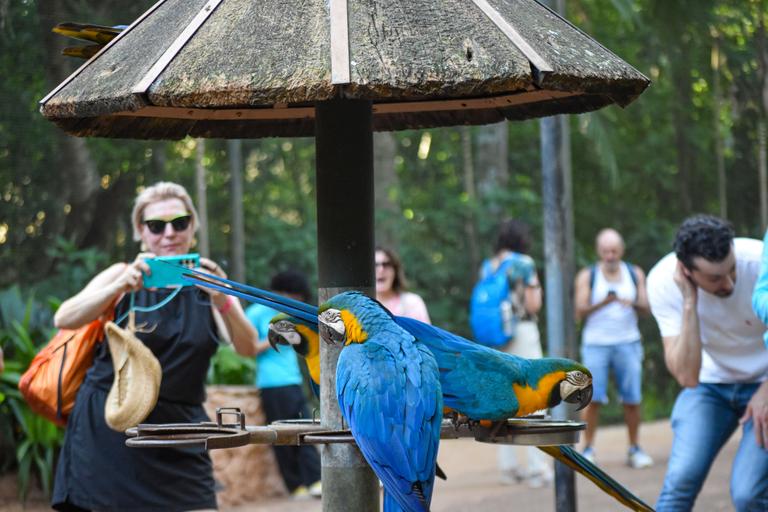 В джазе только девушки или аргентинско-бразильский калейдоскоп В джазе только девушки или аргентинско-бразильский калейдоскоп