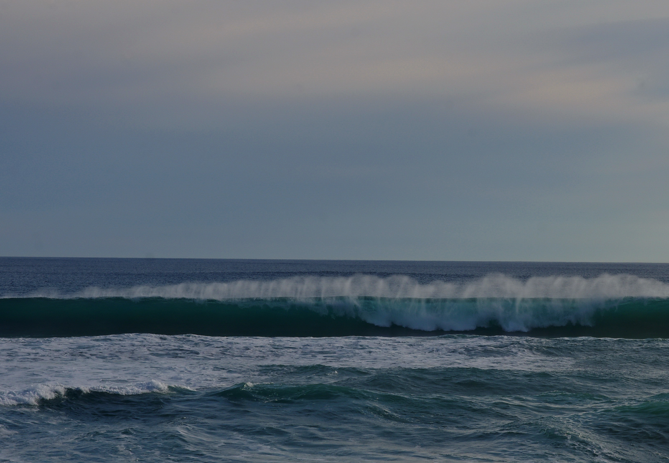 Rye-Surf-Beach-Special-Curler-Wall.jpg
