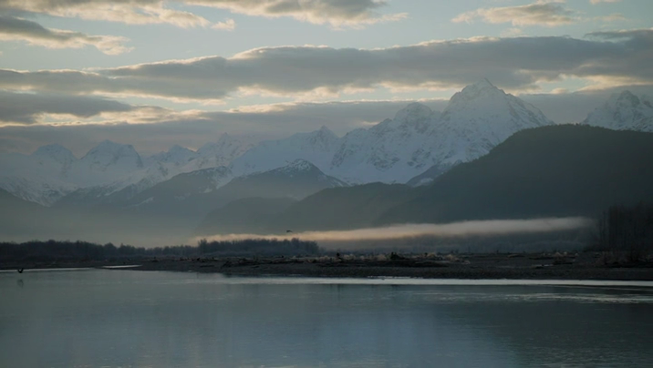 [Image: g1lu2tet75ul.png]