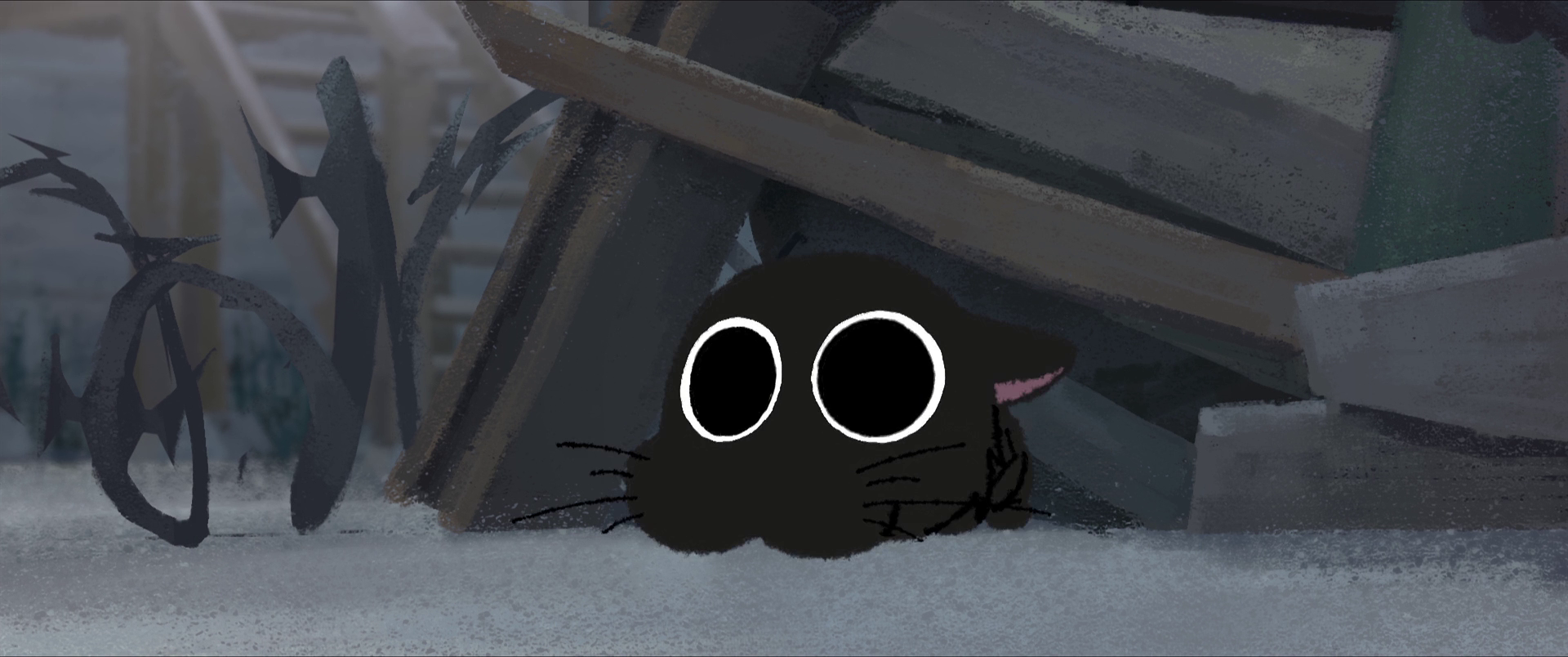vvwp9p026q.png