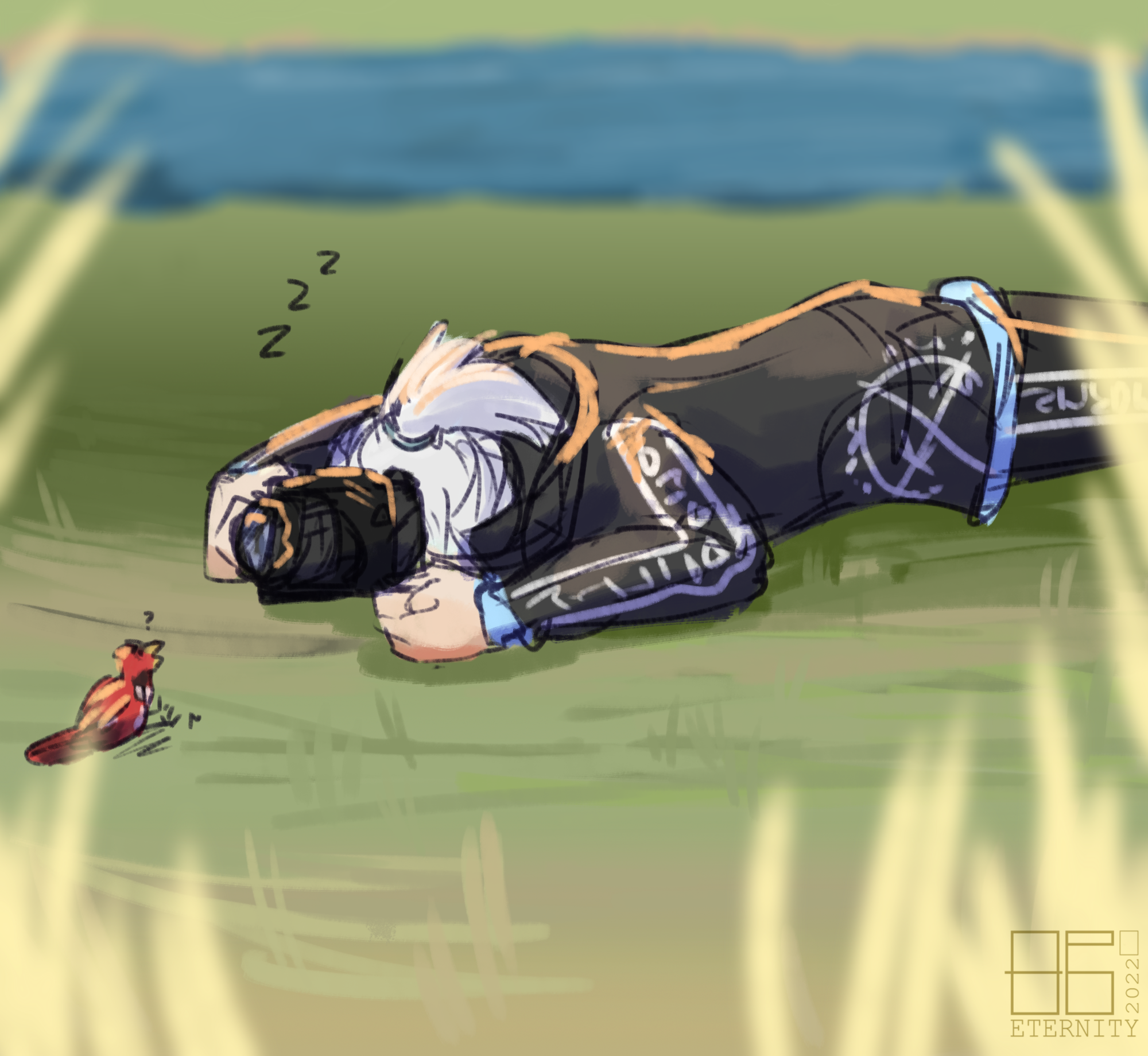 Photography-Problems-Feb-2022.png