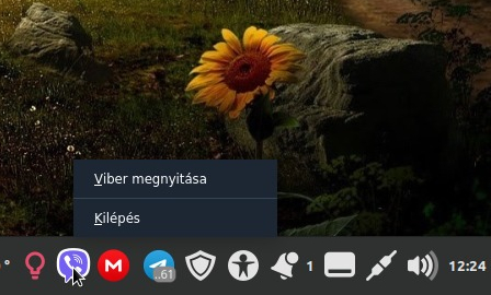 Viber (dbus-launch)_02