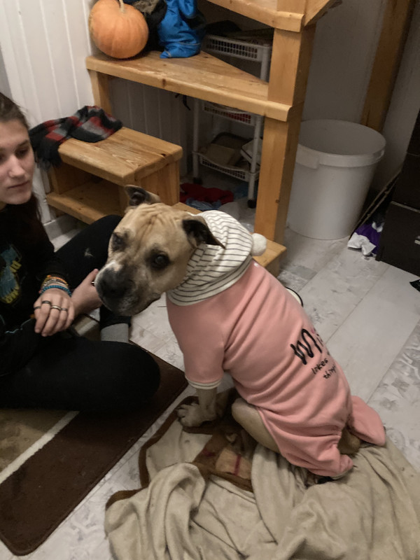 525267D3-B19B-417C-BF04-EE825A0DEDDA