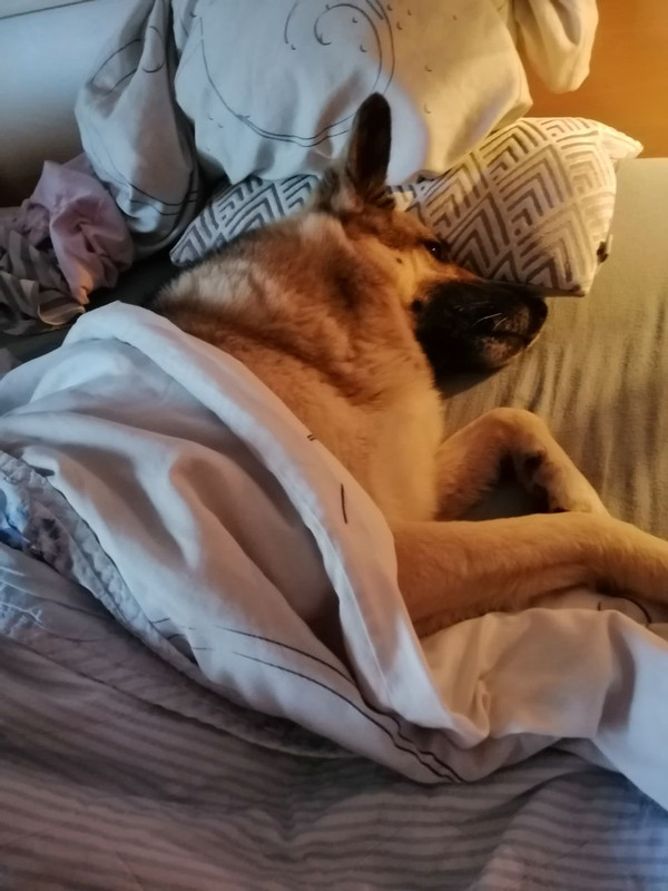 5402118678914382635 121