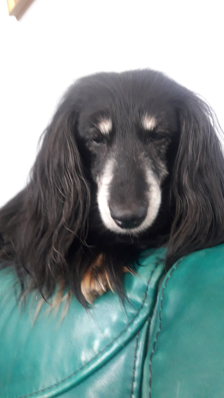 [Image: 20210420-142743.jpg]