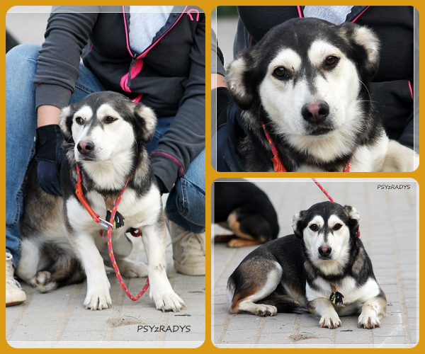 BeFunky-collage (23)